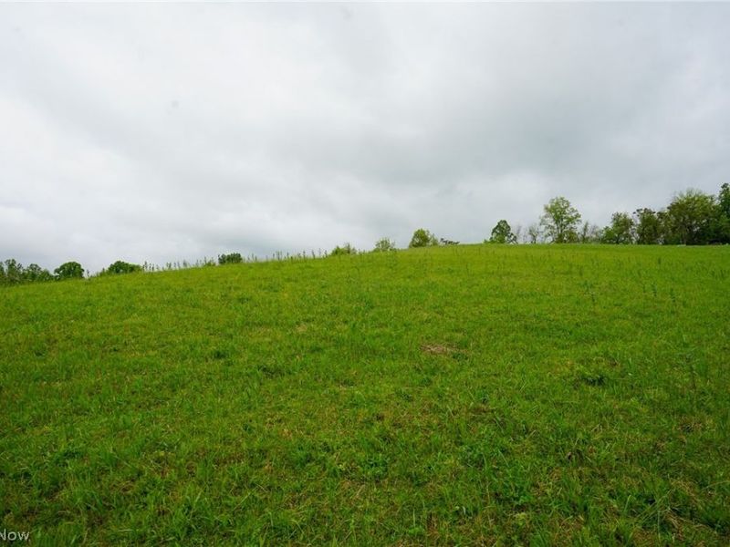 Van Fossen Ln, Chesterhill, OH 43728 Photo 11