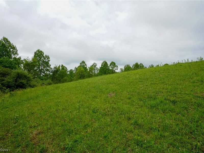 Van Fossen Ln, Chesterhill, OH 43728 Photo 12