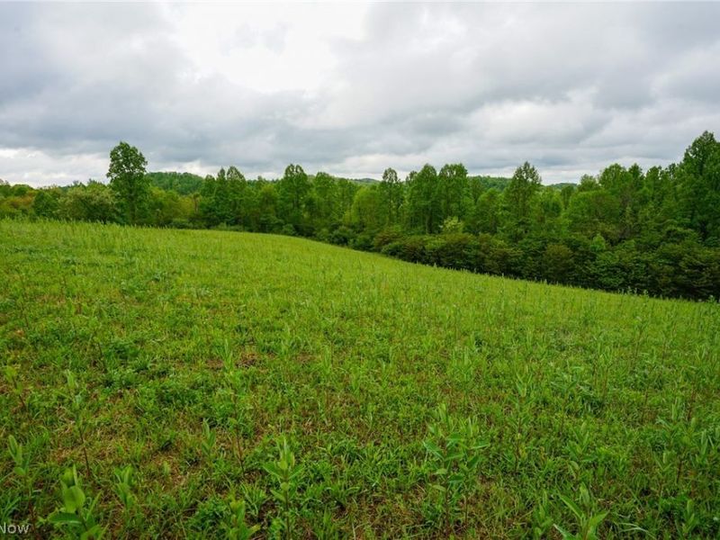 Van Fossen Ln, Chesterhill, OH 43728 Photo 2