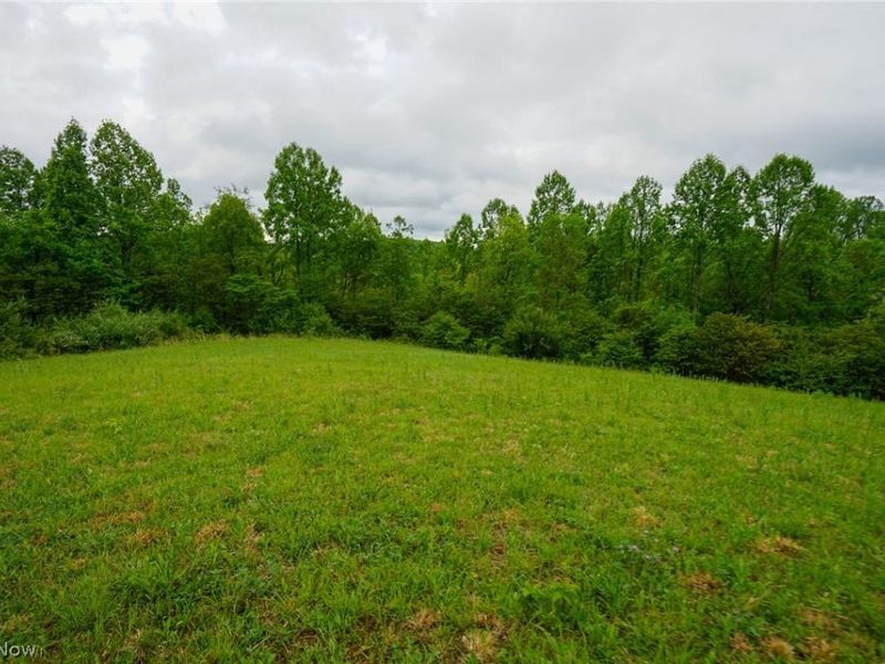 Van Fossen Ln, Chesterhill, OH 43728 Photo 8