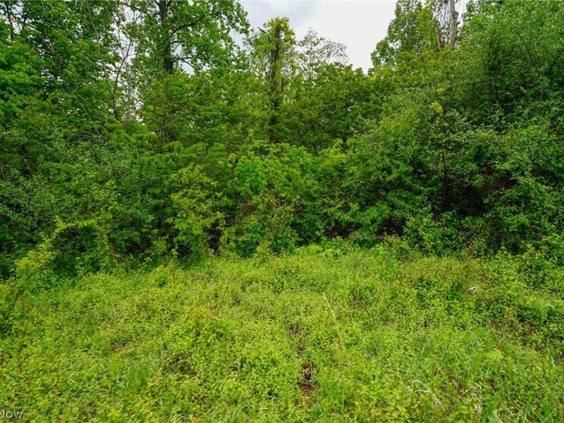 Van Fossen Ln, Chesterhill, OH 43728 Photo 9