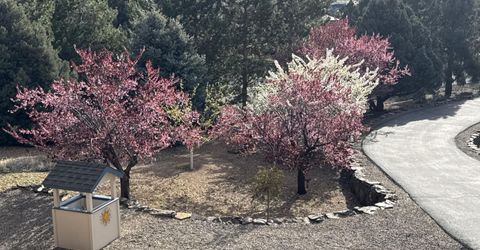 1530 Moss Circle, Gardnerville, NV 89410 Photo