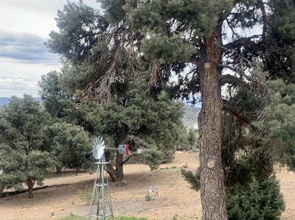 1530 Moss Circle, Gardnerville, NV 89410 Photo