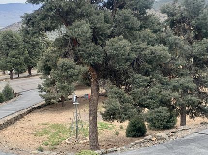 1530 Moss Circle, Gardnerville, NV 89410 Photo