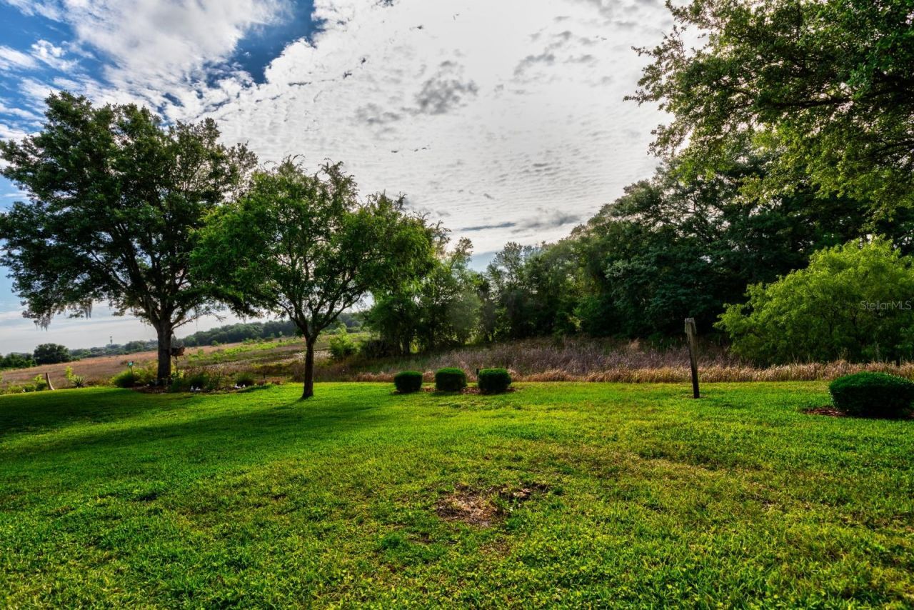 5739 Illumination Lane, Leesburg, FL 34748 Photo