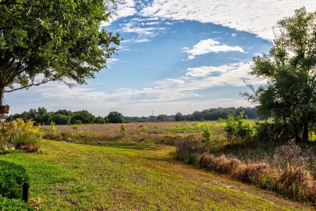5739 Illumination Lane, Leesburg, FL 34748 Photo