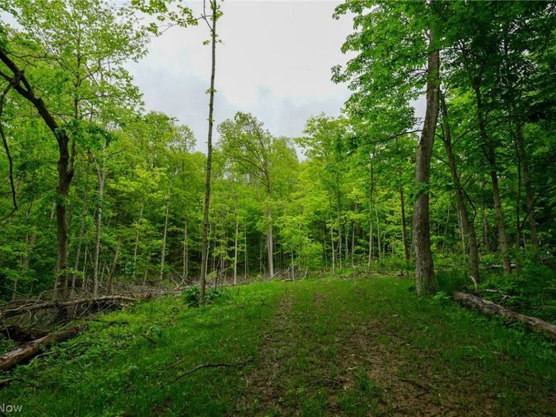 Ervin Ln, Stockport, OH 43787 Photo 10