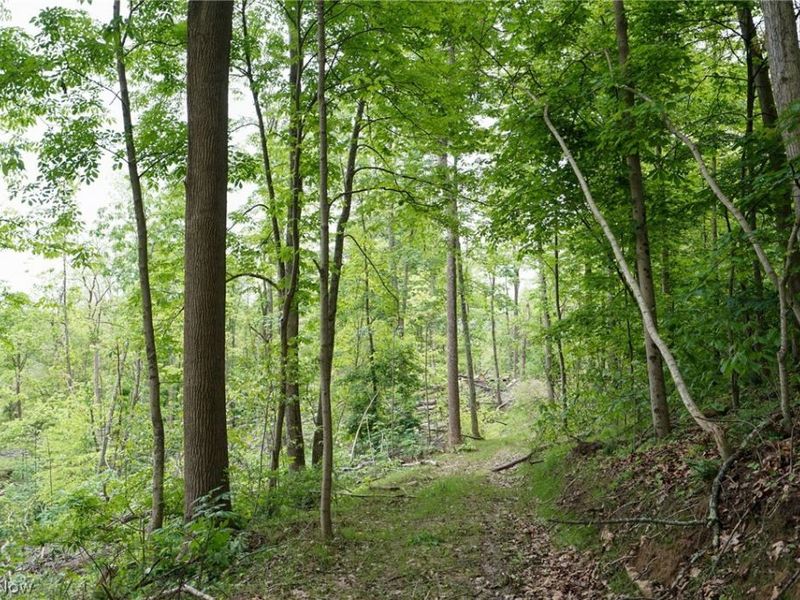 Ervin Ln, Stockport, OH 43787 Photo 12