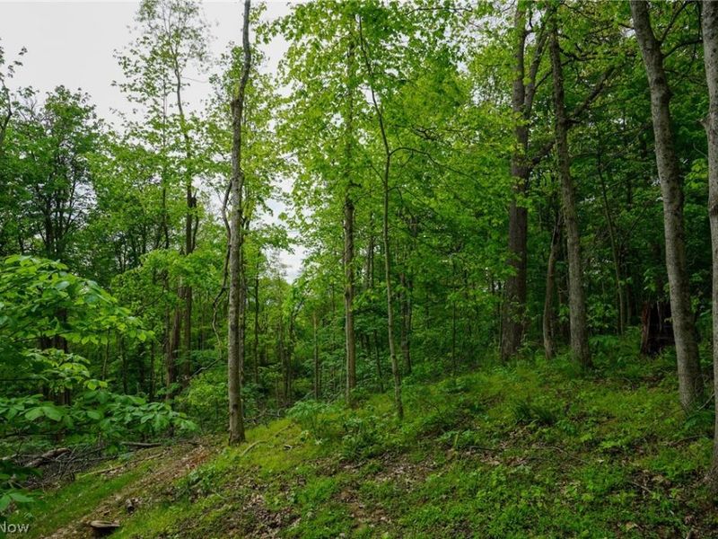 Ervin Ln, Stockport, OH 43787 Photo 13