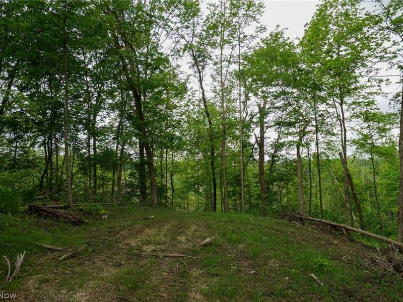 Ervin Ln, Stockport, OH 43787 Photo 15