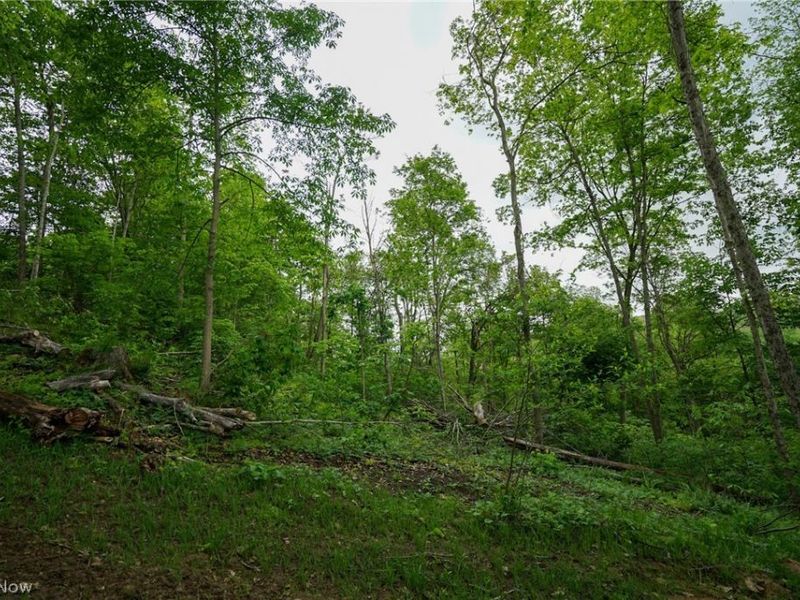 Ervin Ln, Stockport, OH 43787 Photo 18