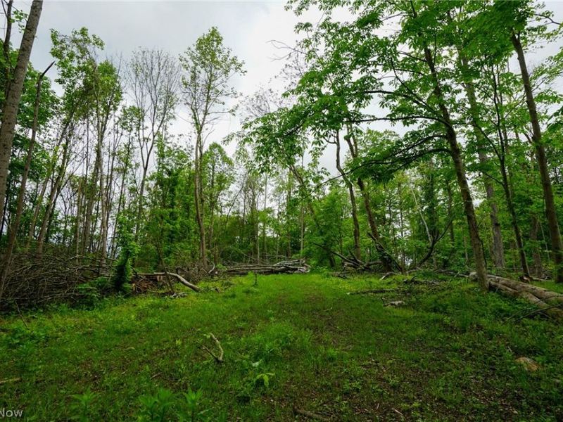 Ervin Ln, Stockport, OH 43787 Photo 4