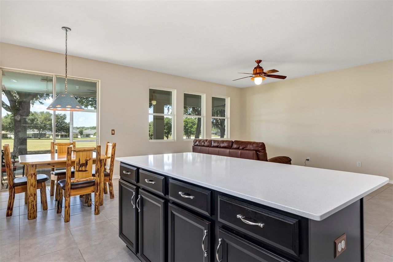 26868 White Plains Way, Leesburg, FL 34748 Photo