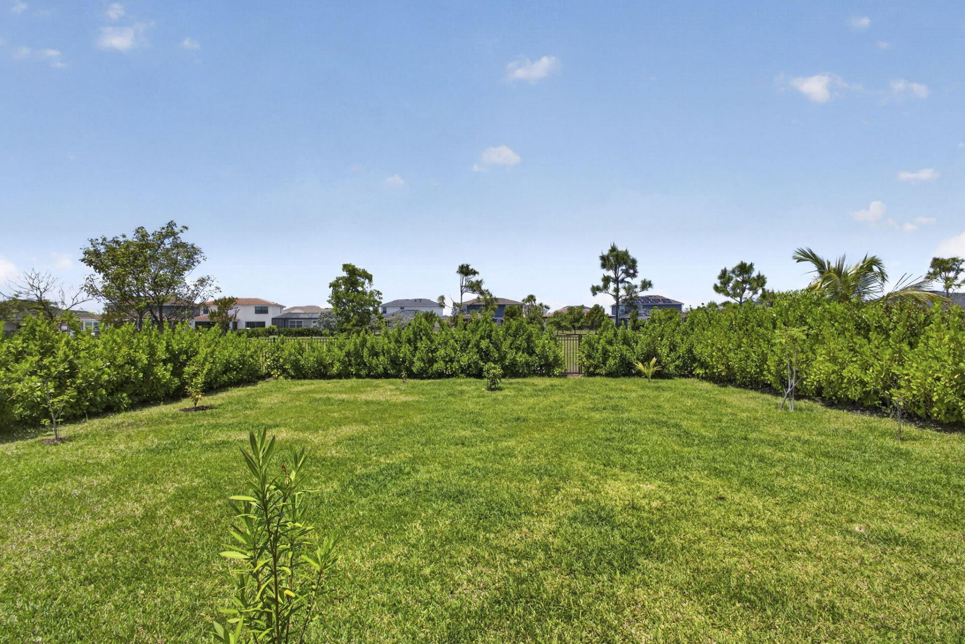 1355 Timber Reap Trail, The Acreage, FL 33470 Photo