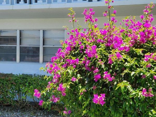 102 Andover D, West Palm Beach, FL 33417