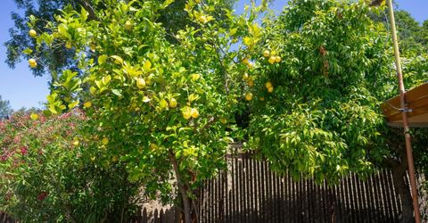 11700 Wade #1, Valley Springs, CA 95252 Photo
