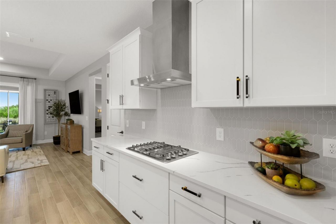 17735 Savory Mist Circle, Bradenton, FL 34211 Photo