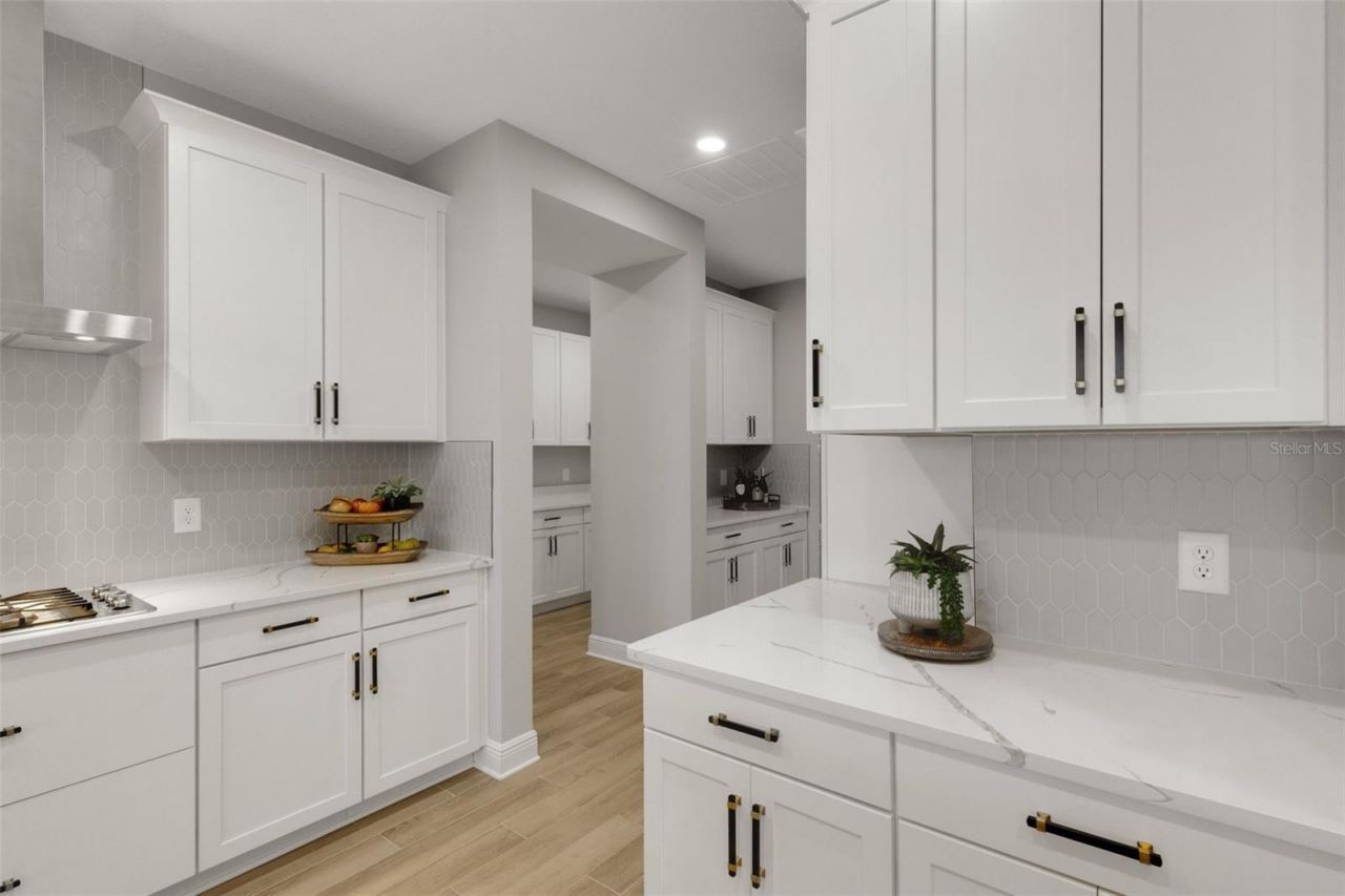 17735 Savory Mist Circle, Bradenton, FL 34211 Photo