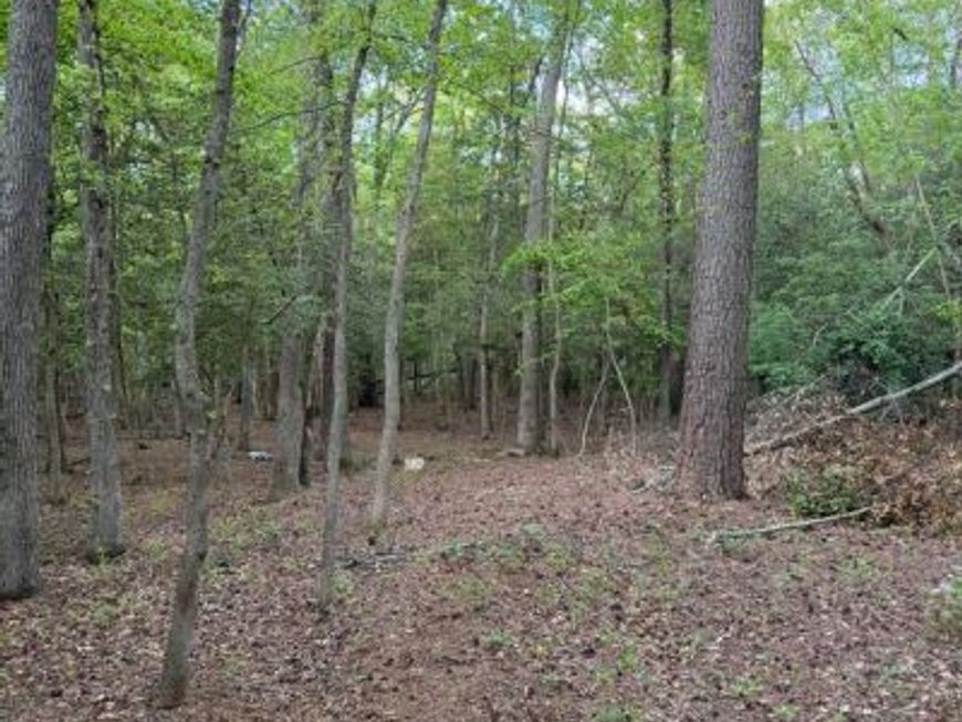 Parcels #82 & #96 Drapers Mill Rd , Goldsboro, MD 21636 Main Photo