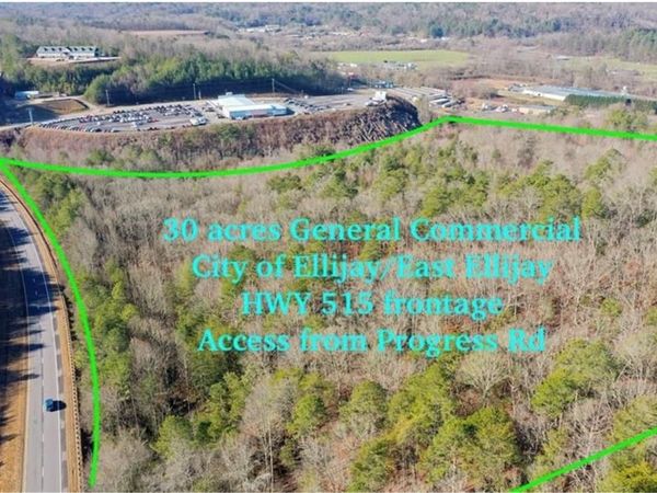 944 Progress Road, East Ellijay, GA 30540
