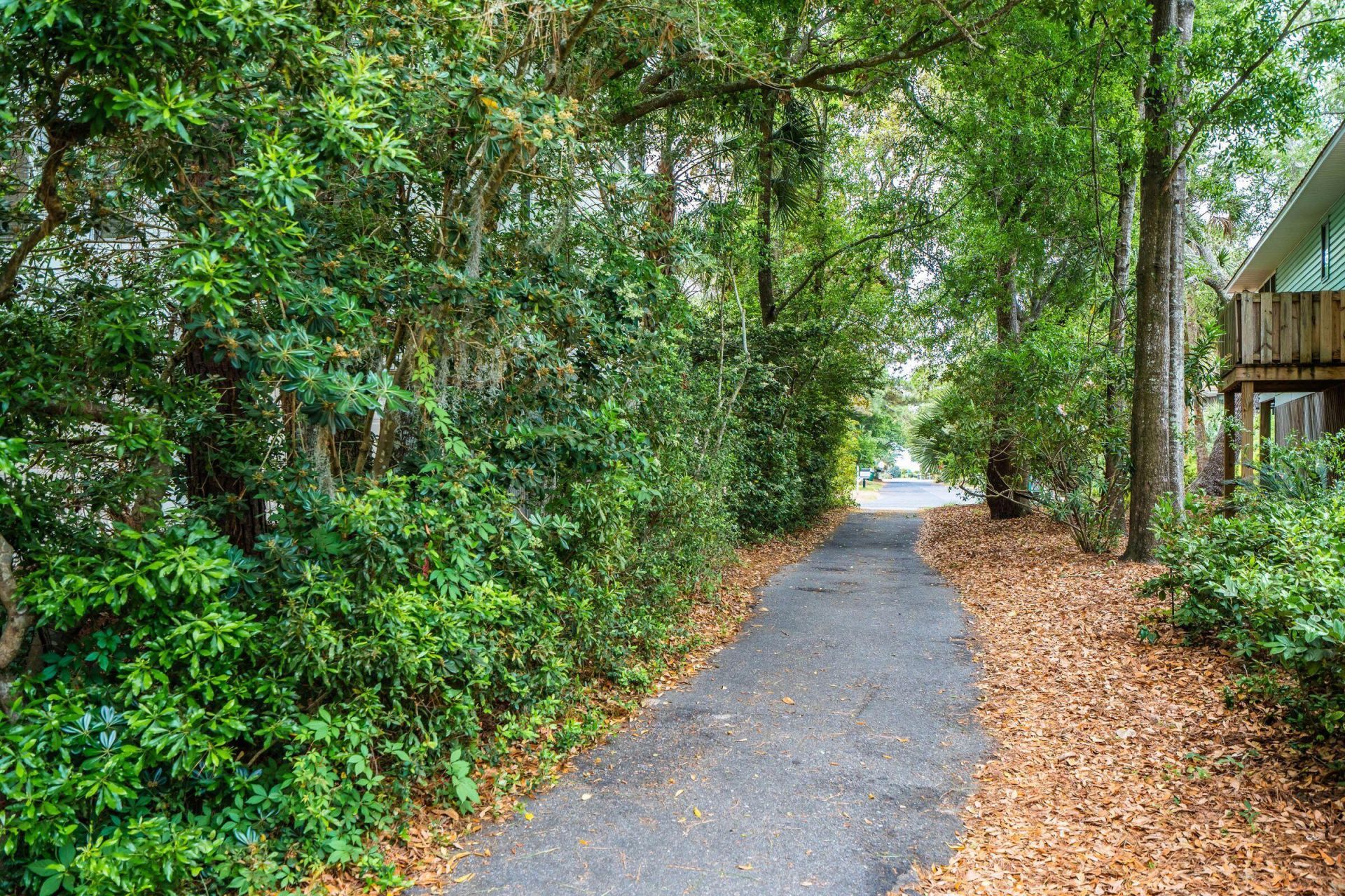 17 Sand Dollar Drive Photo 67