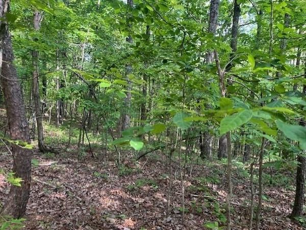 UNDERWOOD FERRY Rd, Quinton, AL 35130