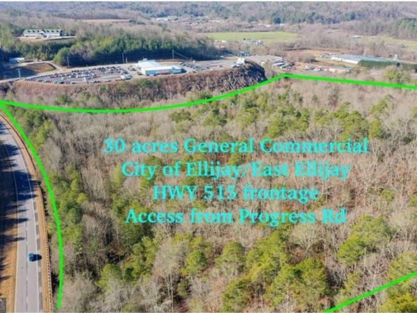 944 Progress Road, East Ellijay, GA 30540