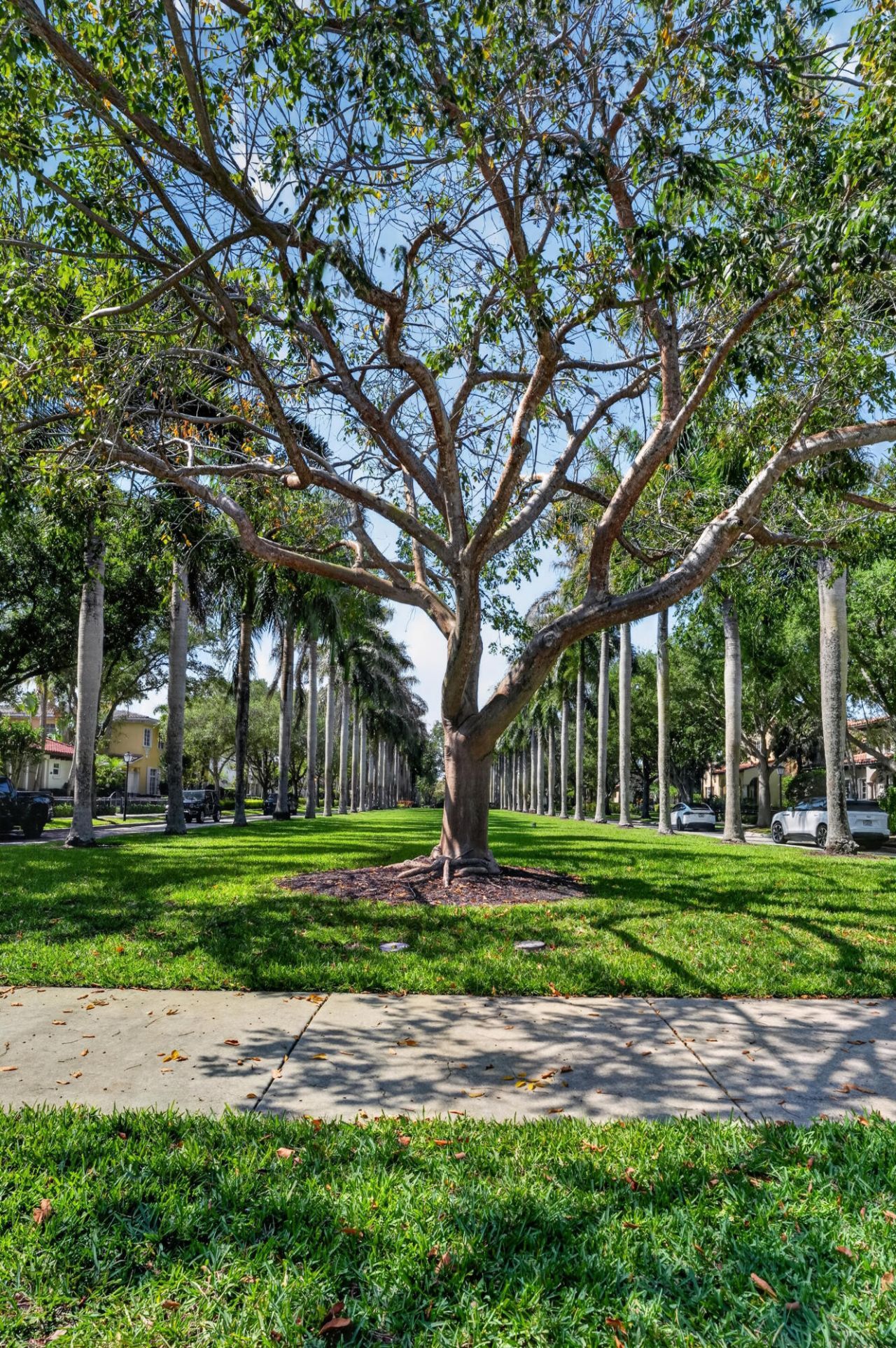 150 Santiago Drive, Jupiter, FL 33458 Photo