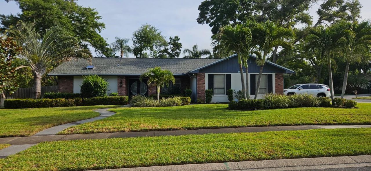 1469 Treetop Dr, Palm Harbor, FL 34683 Main Photo