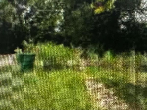 3032 Audubon Avenue , East St Louis, IL 62204