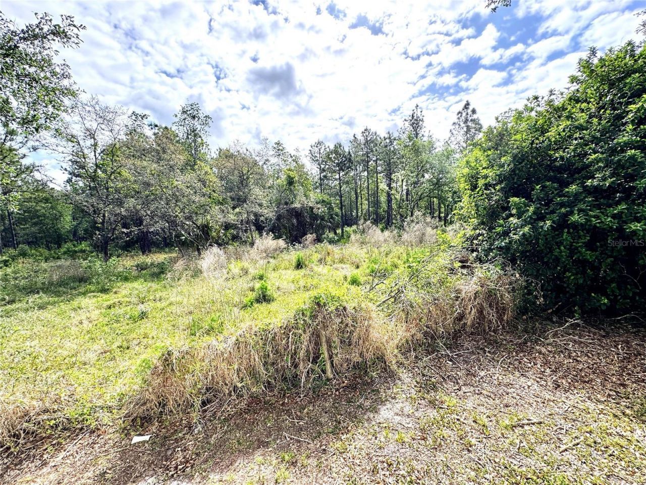 4339 Northern Dancer Way, Orlando, FL 32826 Photo