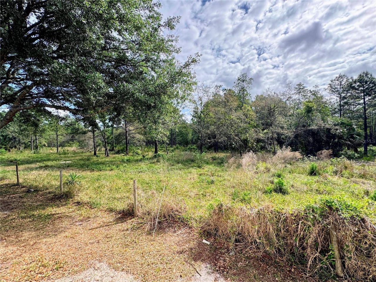 4339 Northern Dancer Way, Orlando, FL 32826 Photo