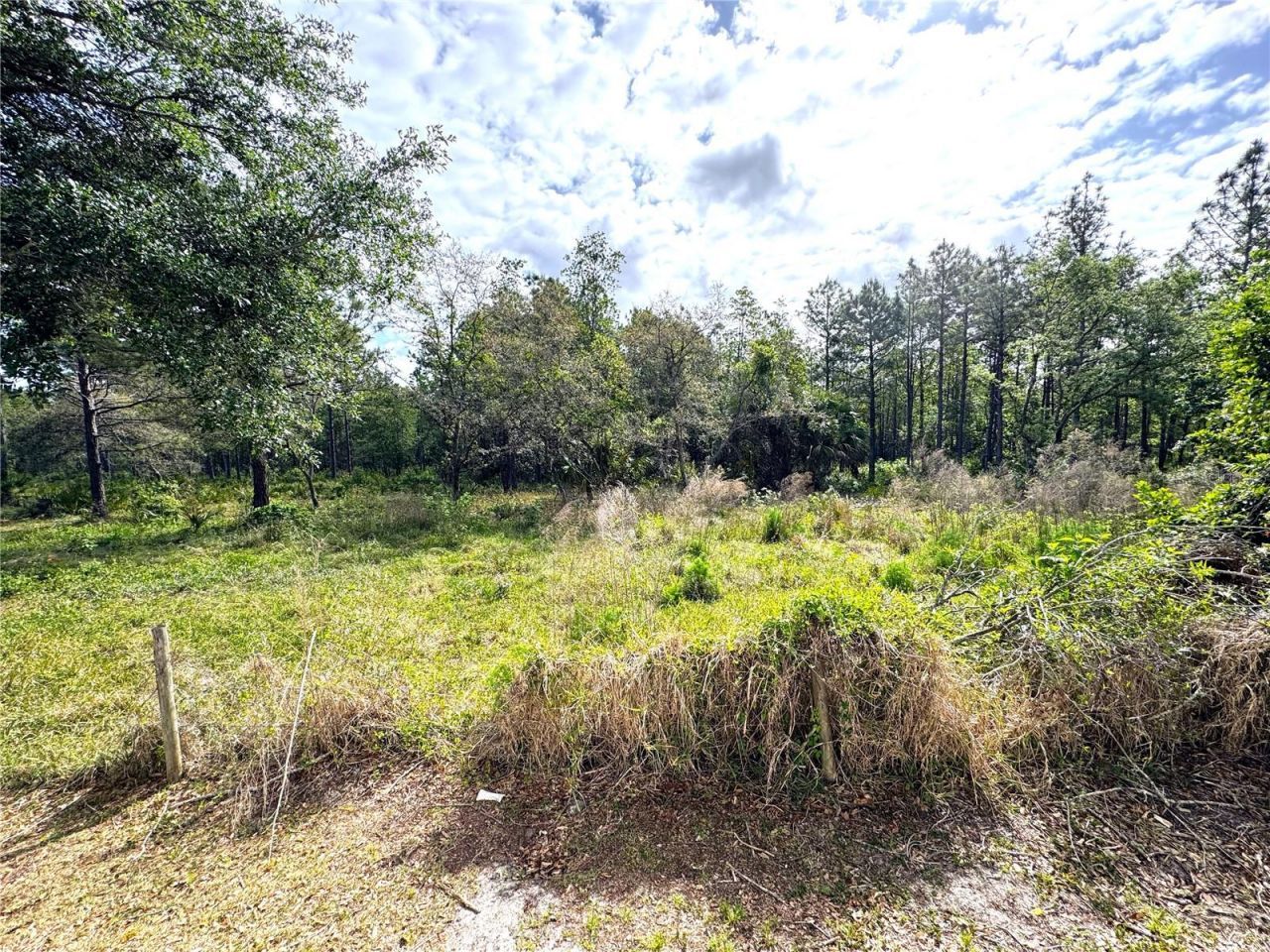4339 Northern Dancer Way , Orlando, FL 32826 Photo