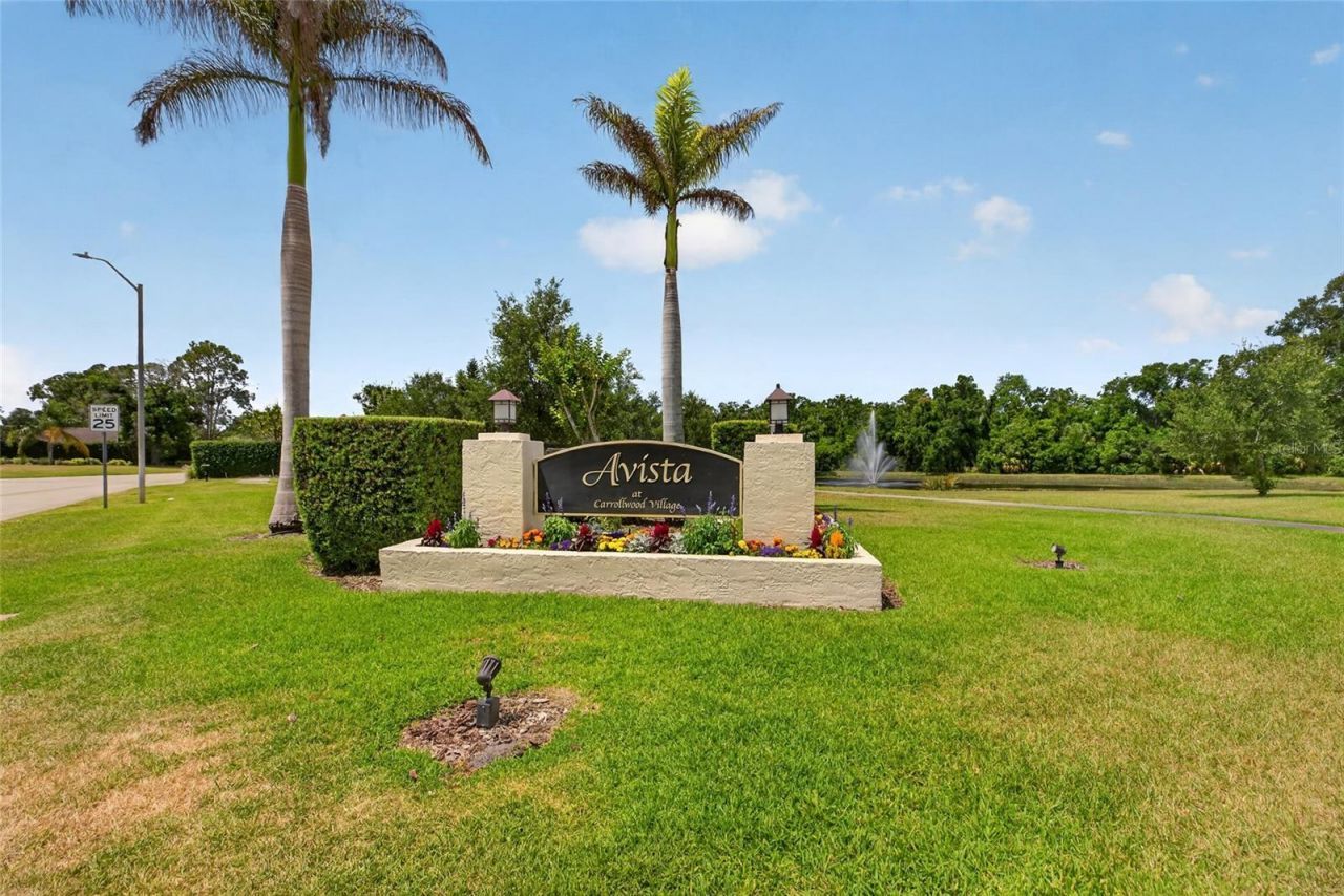 13522 Avista Drive, Tampa, FL 33624 Photo