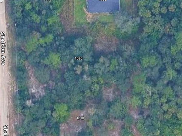1020 Michael AVE , LEHIGH ACRES, FL 33936