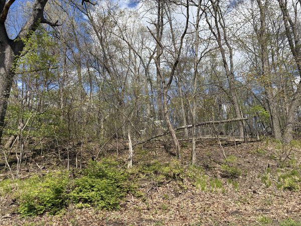 V/L Anderson Road, Cassopolis, MI 49031