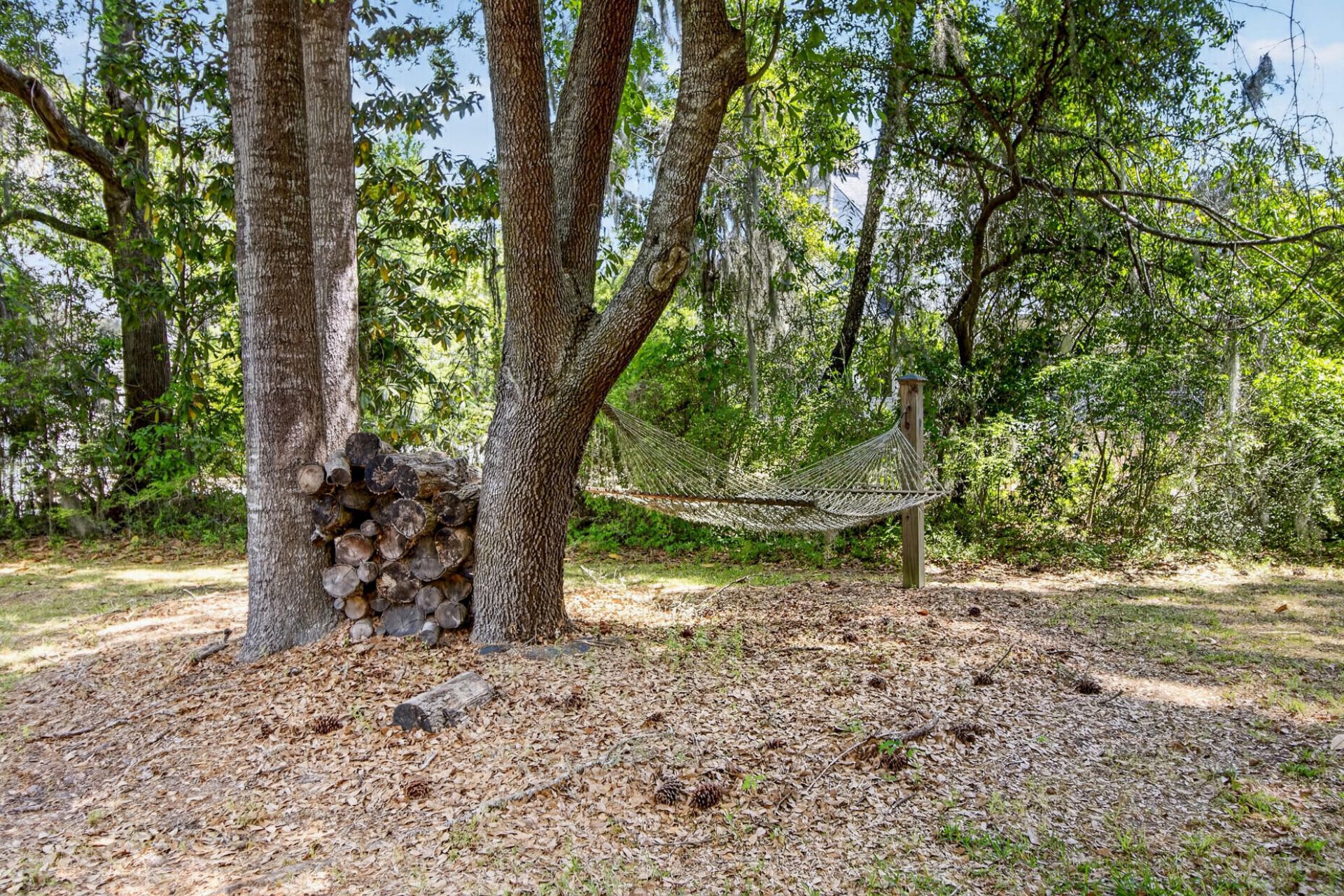 161 Liberty Street Photo 14