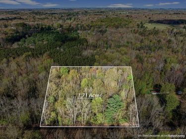 #0049 V/L Maplegrove Lane , Vassar Twp, MI 48768