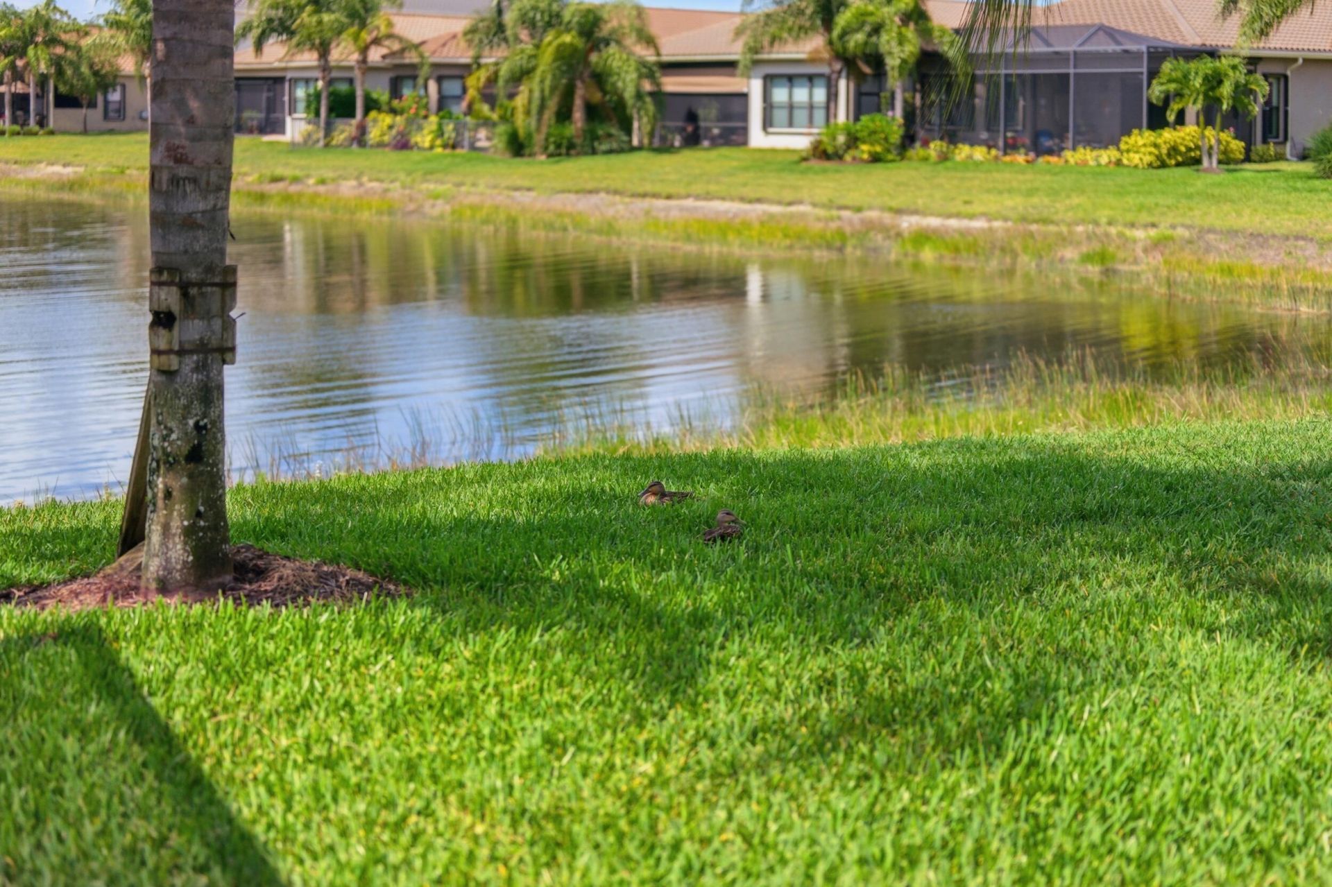 11619 Riverstone Lane, Fort Myers, FL 33913 Photo
