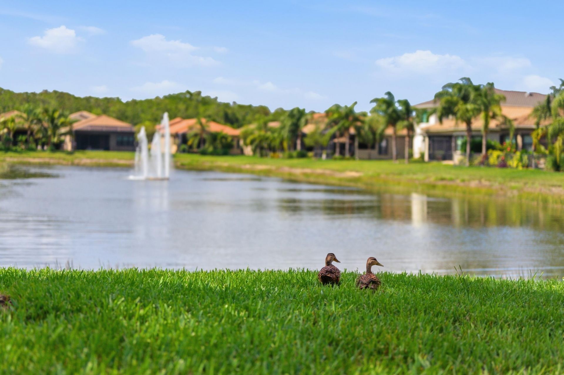 11619 Riverstone Lane, Fort Myers, FL 33913 Photo