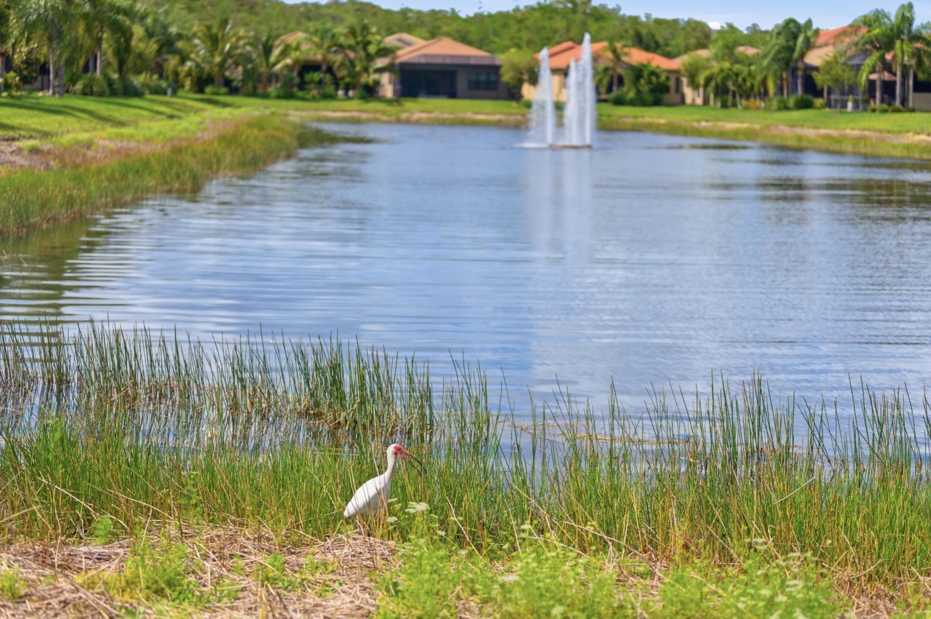 11619 Riverstone Lane, Fort Myers, FL 33913 Photo