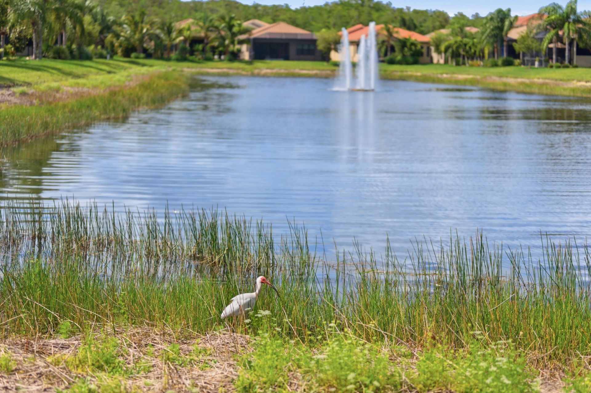 11619 Riverstone Lane, Fort Myers, FL 33913 Photo