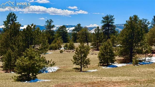 418 Scott Drive, Florissant, CO 80816 Main Photo
