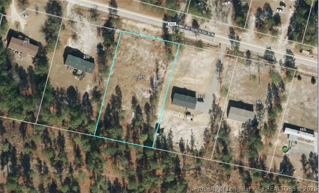 205 Mickey Rouse Lane, Cameron, NC 28326 Main Photo