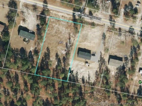 205 Mickey Rouse Lane, Cameron, NC 28326