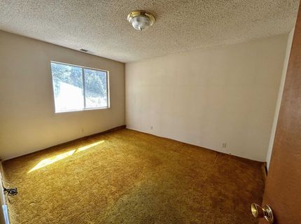3801 Mary Ann Lane, Lake Almanor, CA 96137 Photo