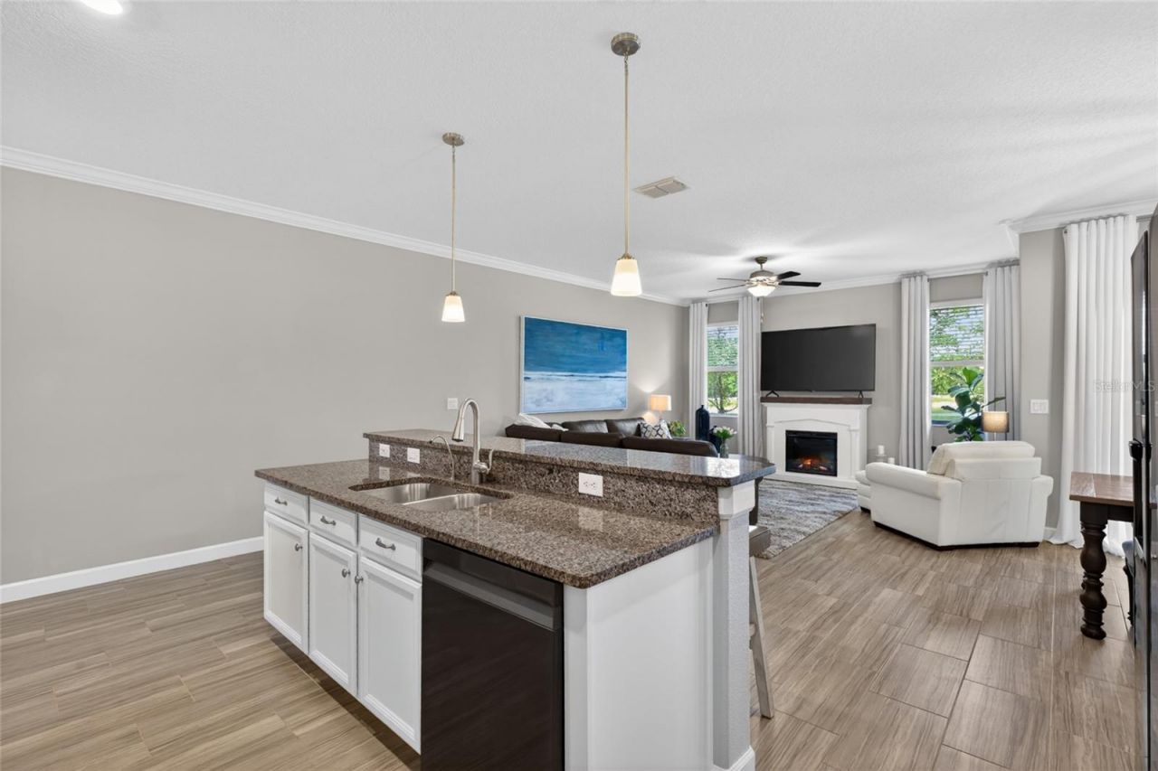 2213 Cerulean Sky Drive , Lutz, FL 33558 Photo