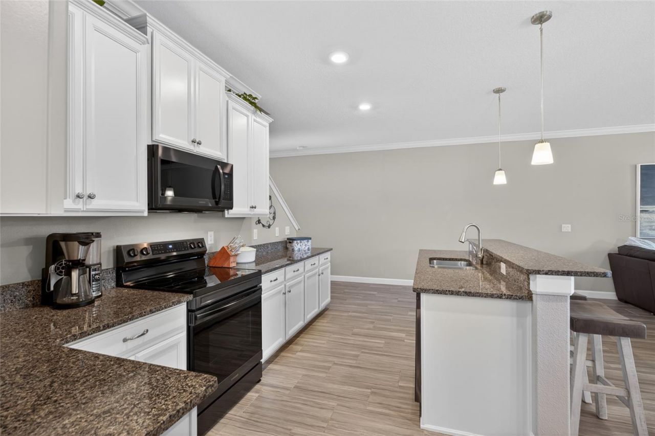 2213 Cerulean Sky Drive , Lutz, FL 33558 Photo