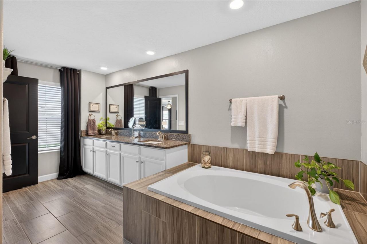 2213 Cerulean Sky Drive , Lutz, FL 33558 Photo