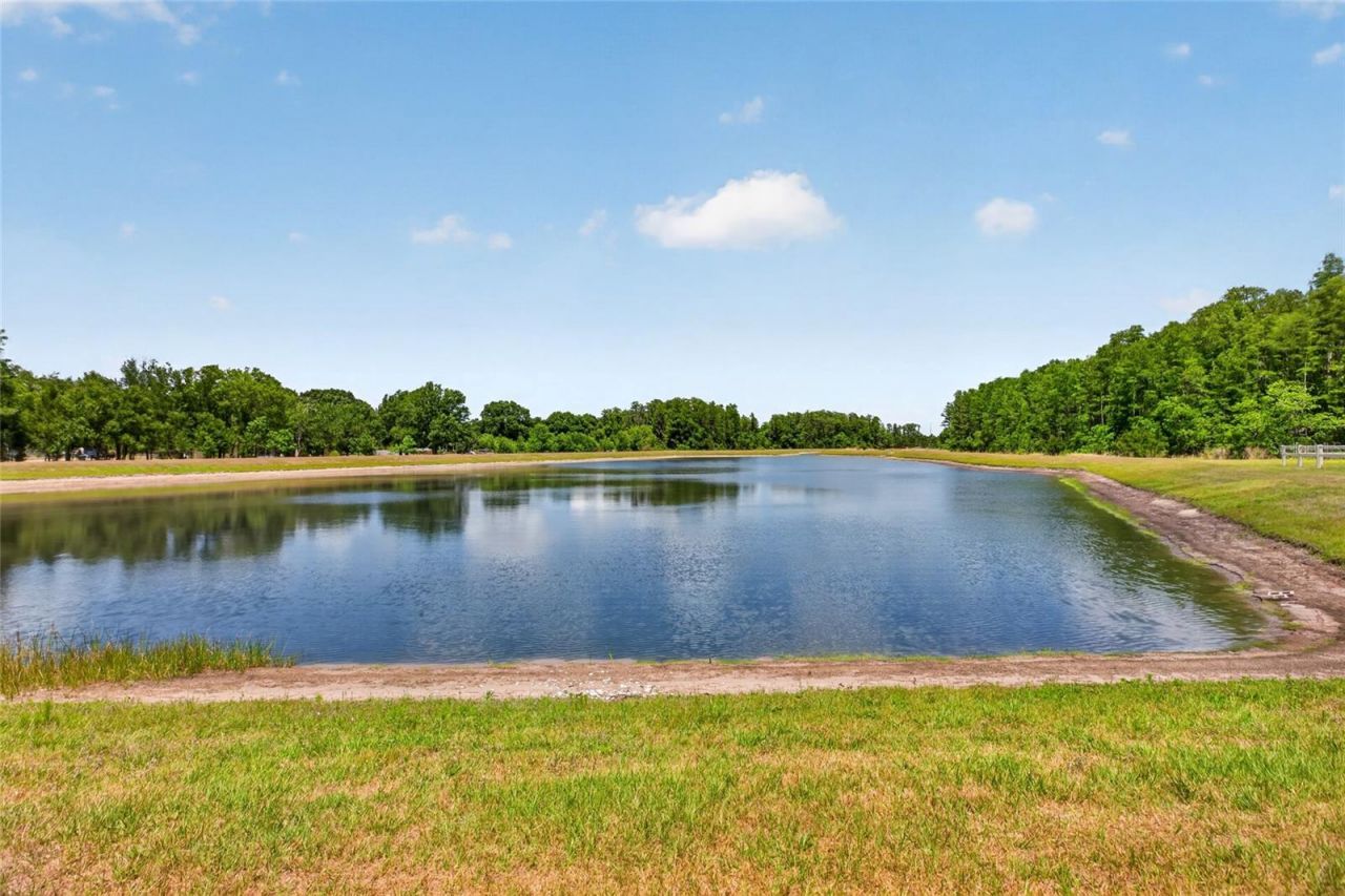 2213 Cerulean Sky Drive , Lutz, FL 33558 Photo